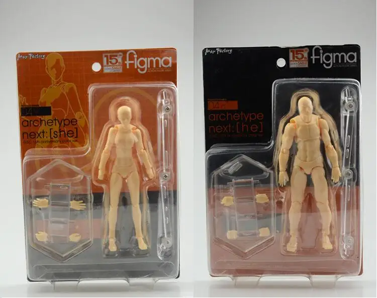 Ciência médica Esboço da Arte dos Desenhos Modelo de Corpo Animados Humano