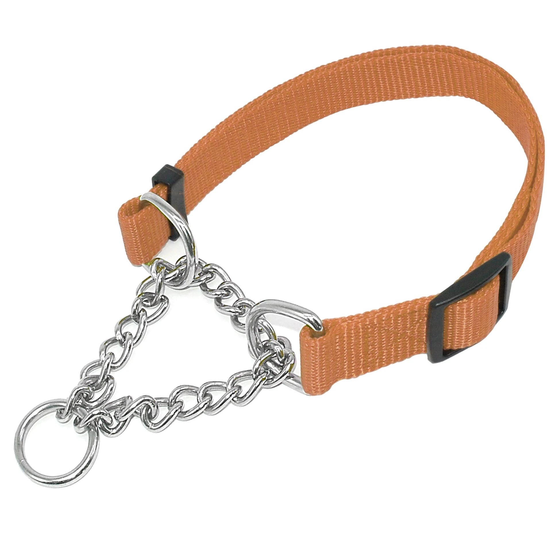 Half Check Collar Dog Half Check Collar Dog