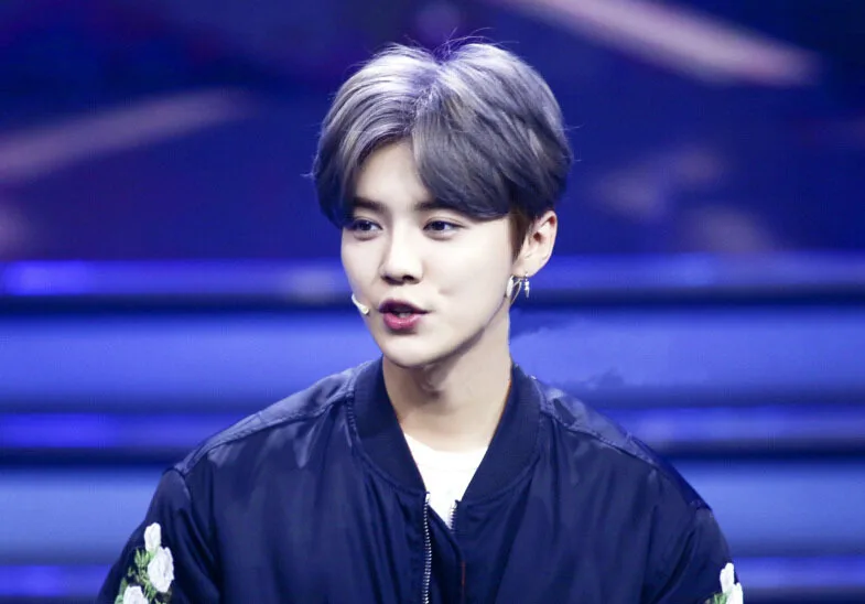 Серьги подвески Wu Yifan Lu Han 1 шт.|Серьги-подвески| |