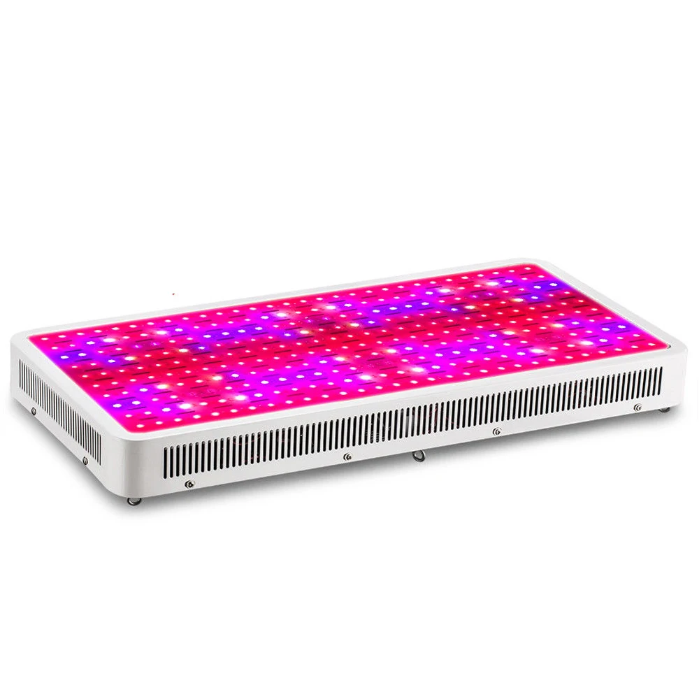 

JIERNUO LED Grow Light Full Spectrum 3000W Double Chips Plant Growing Light 300*10W SMD Chips Tent Plant Light For Greenhouse