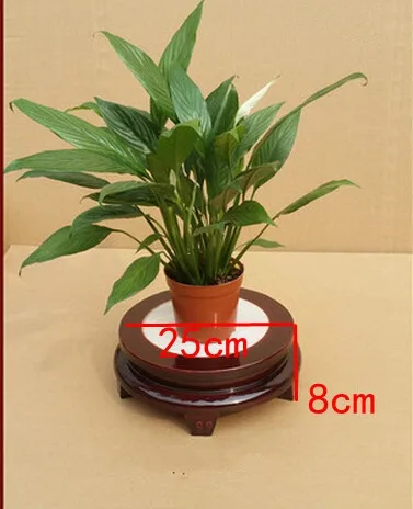 Chlorophytum old elm wood flower frame wooden flower pot aquarium crafts antique flower bed frame Chlorophytum old elm wood flower frame wooden flower pot aquarium crafts antique flower bed frame