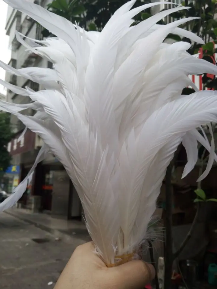 Free shipping wholesale 50pcs Rare natural rooster tail 35