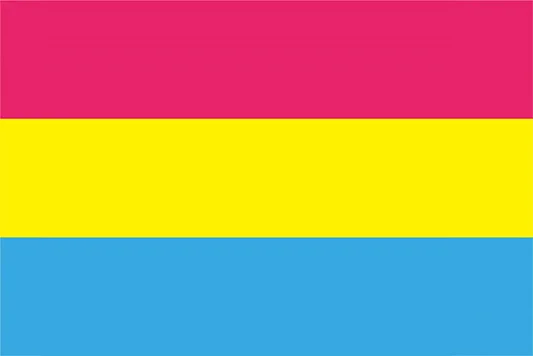 Pride Pansexual Flag 3ftx5ft In Flags Banners And Accessories From Home