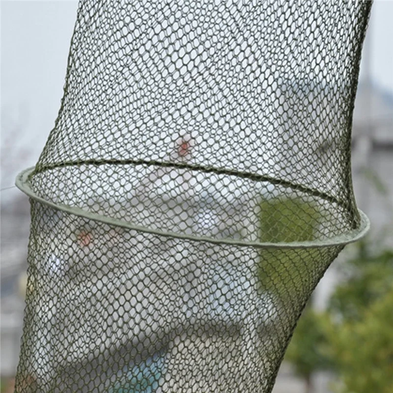 18264006_8