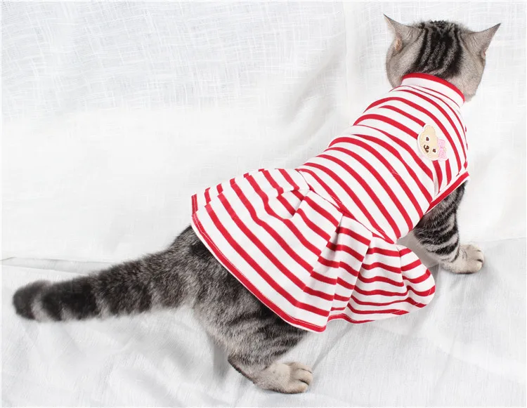 cat clothes (2)