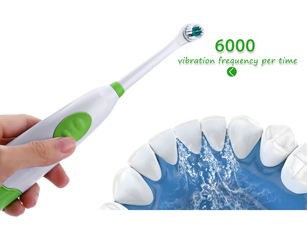 Electric Oral Hygiene Dental Care Toothbrush with 2 Brush Heads