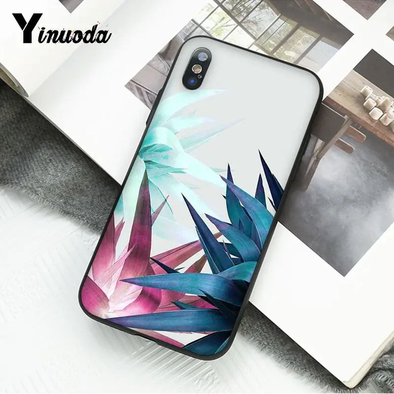 Summer Palm Leaf Banana Leaf Flowers Plants