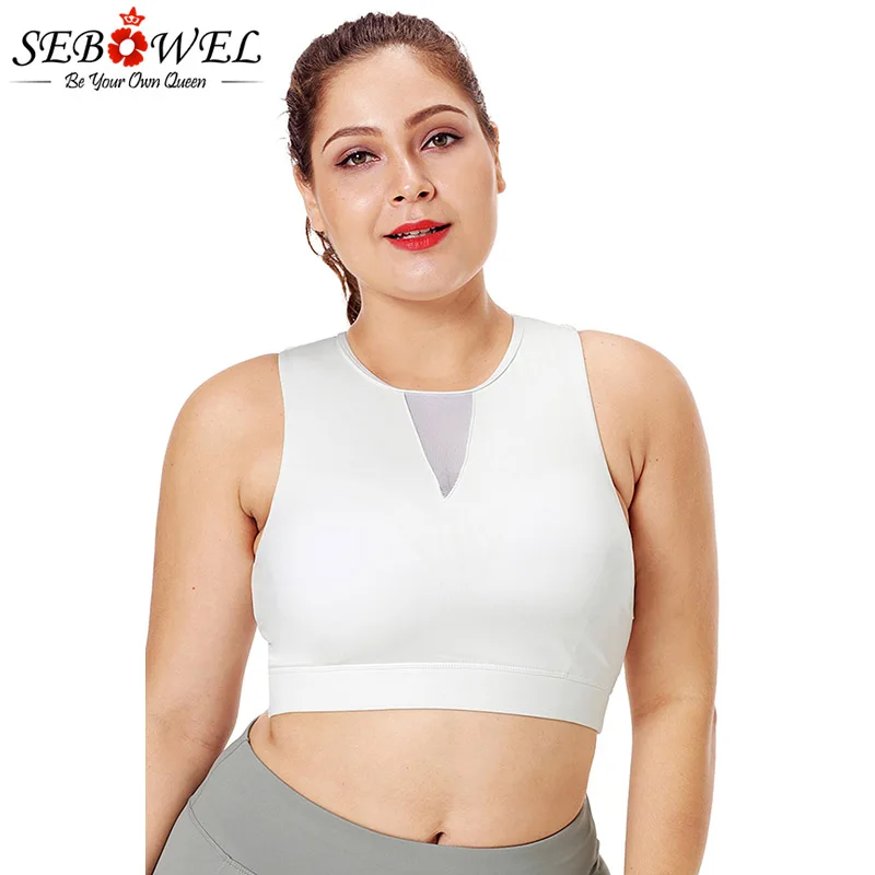 White-Mesh-Insert-High-Neck-Plus-Size-Sport-Bra-LC26039-1-1 