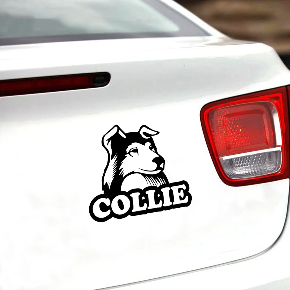 

14.4*12.7cm Collie Cute Dog Car Animals Stickers High Quality Vinyl Decals Motorcycle Car Styling Car Accessories
