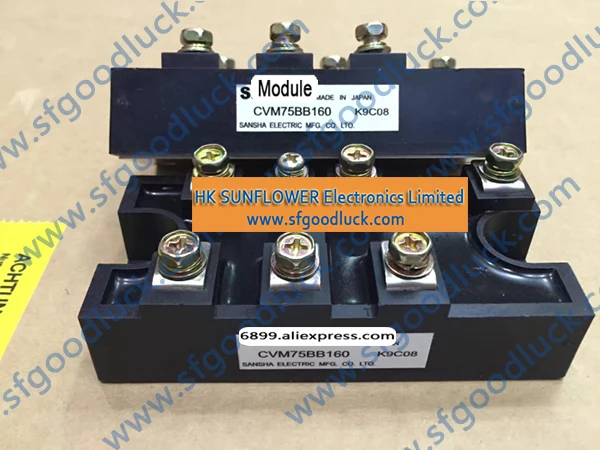

CVM75BB160 Three Phase Diode Bridge with Built-In Thyristor 1600V 75A Mass:typ.300g