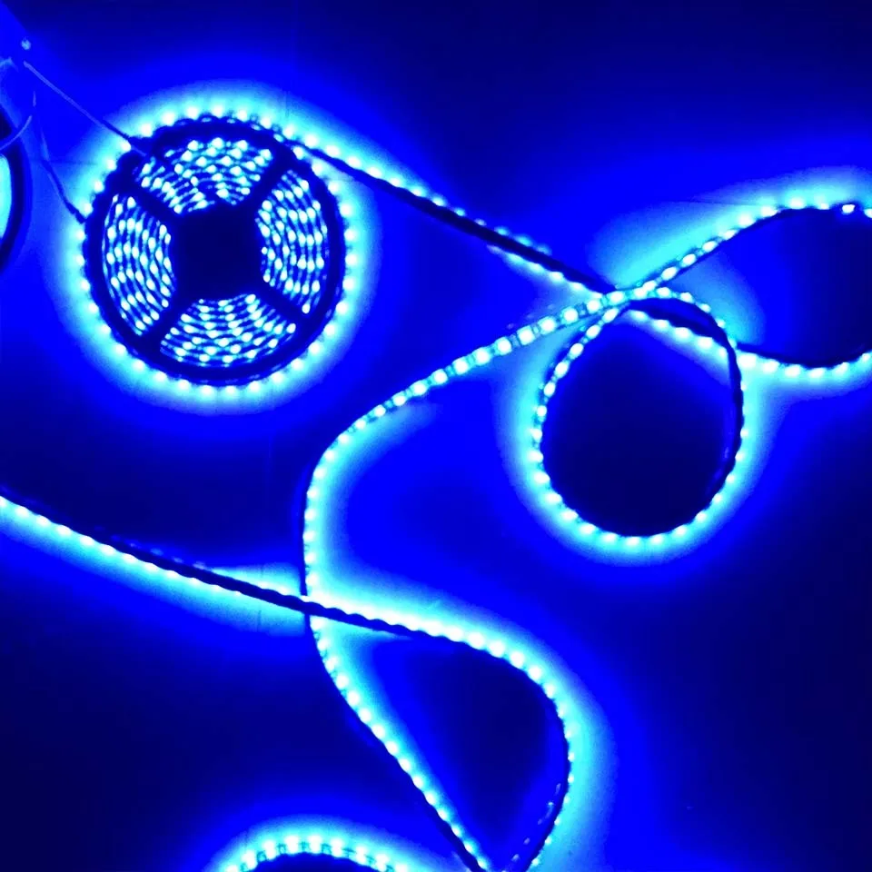 IMG_0645-1