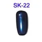 SK-22