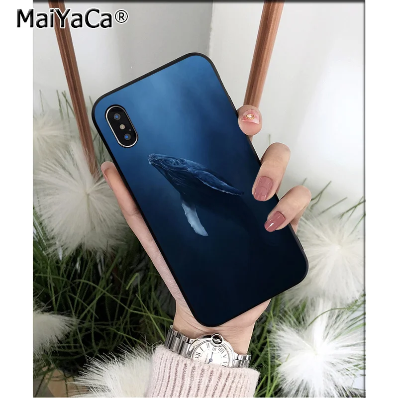 Ocean Whale Animal