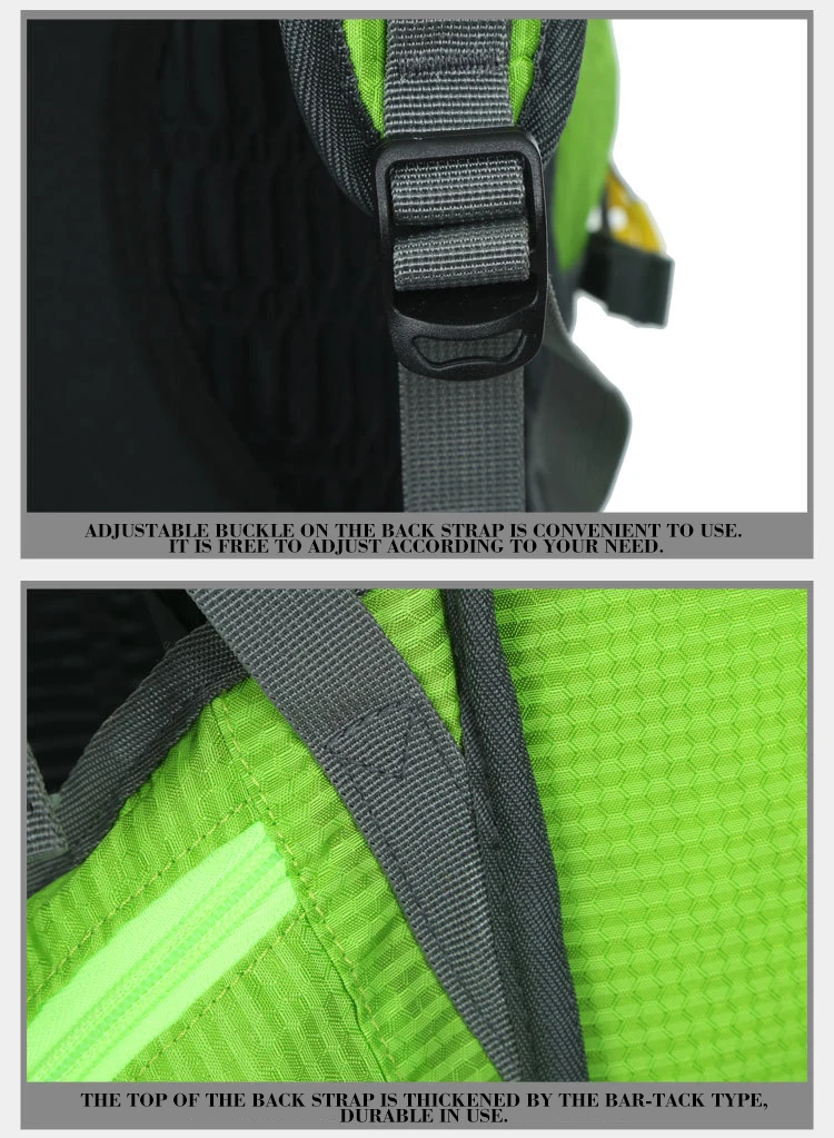 2719736719_1640144837