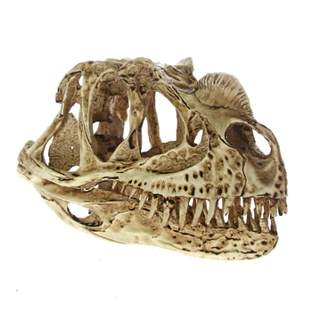 

High Precision Ceratosaurus Skull Model Rex Dinosaur Resin Fossil Skull Model Collectibles Model Figure Aquarium Ornament Decor