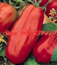 200/ bag giant big Tomato Seeds -San Marzano tomato, Heirloom Open Pollinated vegetable seeds, superior taste, for home planting