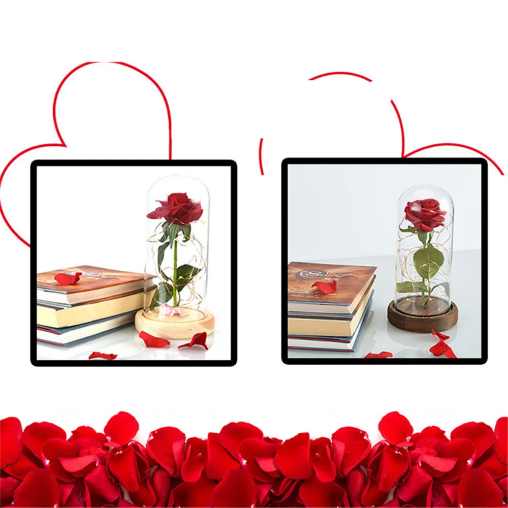 7330438700_864390376