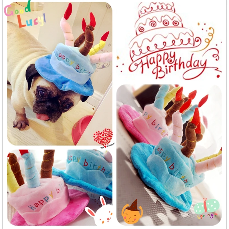 Birthday Hats For Dogs For Small Breeds Pink Blue Cute Funny Puppies