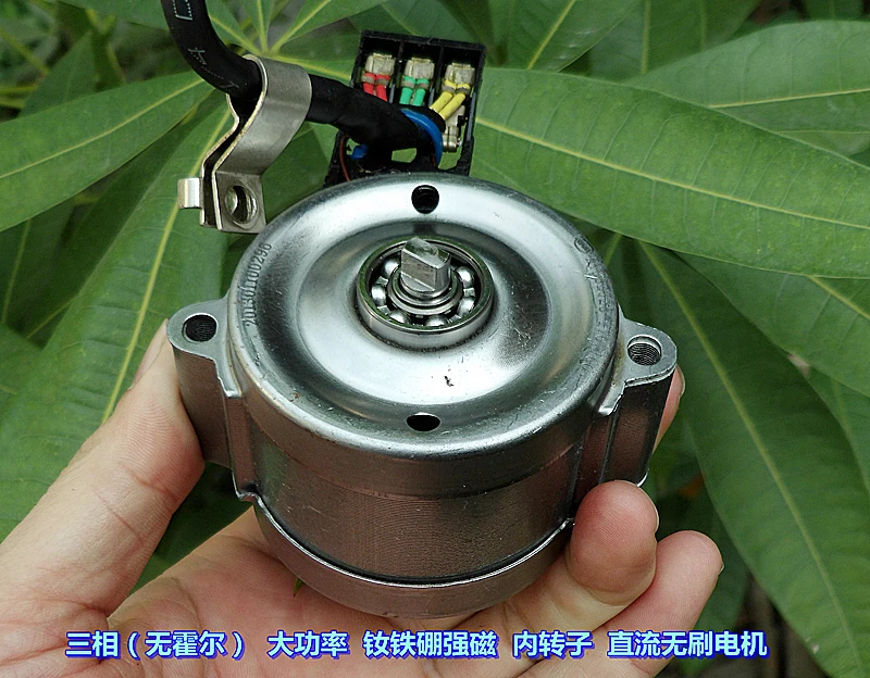 BYD 12-24V высокий крутящий момент трехфазный бесщеточный двигатель внутренний