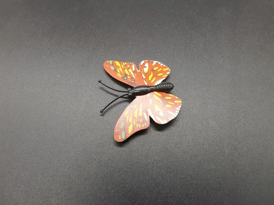 I255-Butterfly (7)