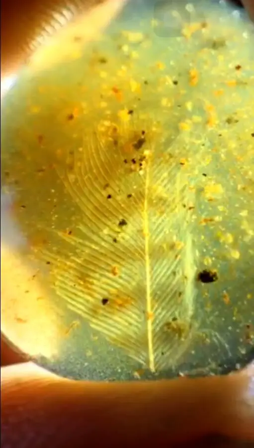 

Very rare Coloured feather untreated burmite Myanmar Burma Amber insect lynx stone from dinosaurs age Cretaceous