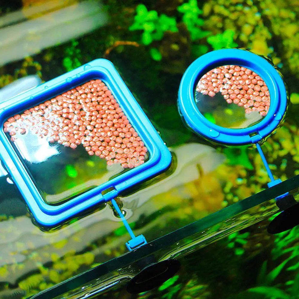 

1Pcs Aquarium Feeding Ring Fish Tank StationWater Plant Buoyancy Suction Cup Floating Food Tray Feeder Square Circle Accessory
