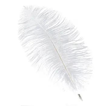 

50pcs 30-35cm Artificial Ostrich Feathers Decoration Feathers for Holiday /Party /Dress /Home