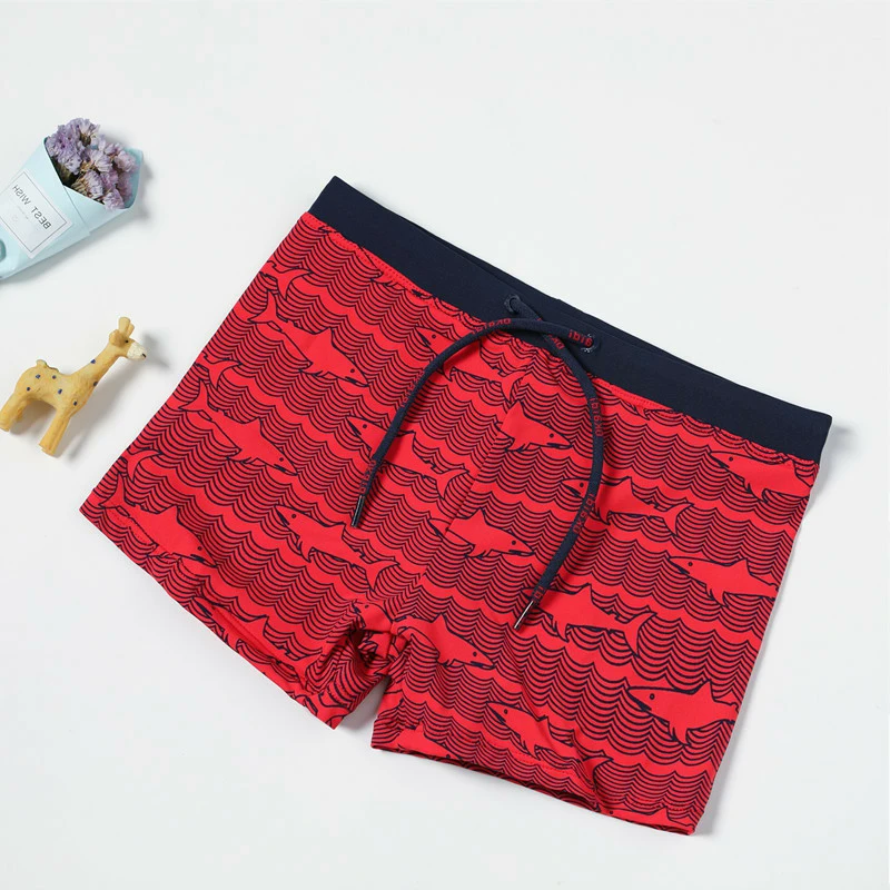 

2019 Boys Trunks Swimwear 2-10 Years Boys Swimsuit 2019 New Kids Children's Swimwear Trunks G1-CZ968