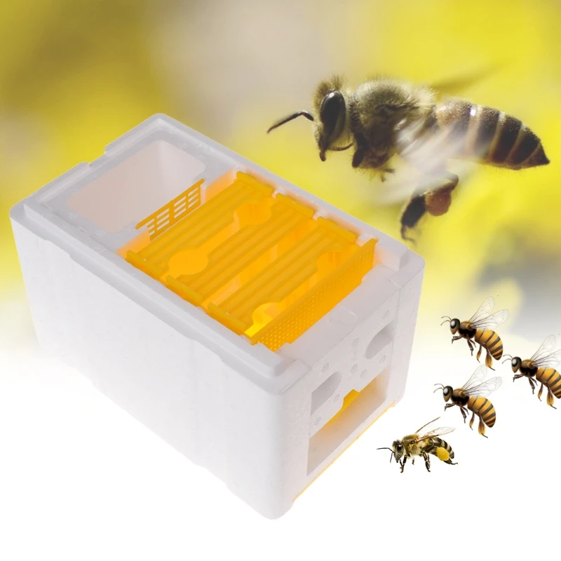 

Beekeeping Tools Bee Pollination Box Beekeeping Case Equipment Home Beehive Tools Garden Harvest Beekeeping Equipment