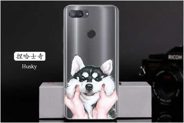  Husky