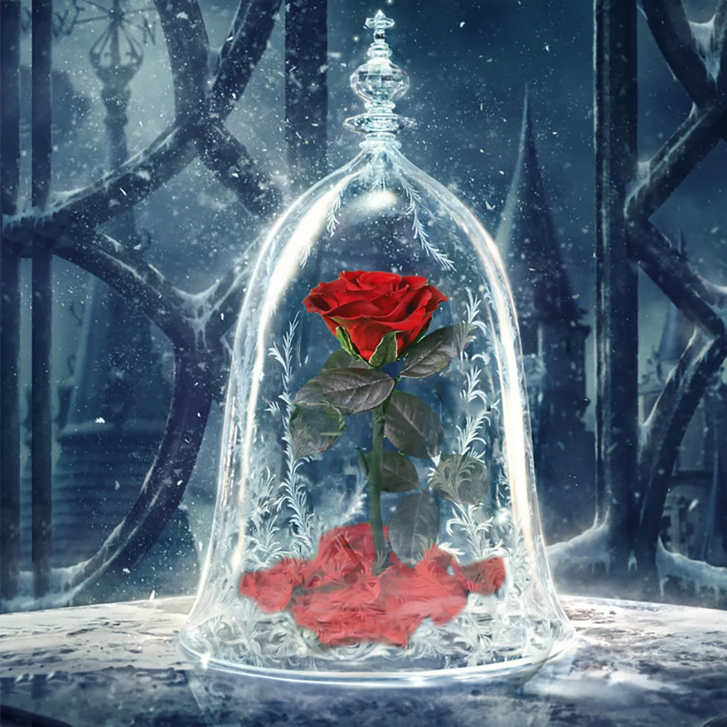 Новинка Романтика Красивая вечная жизнь цветок готовая стеклянная крышка красота и чудовище Роза Рождественский подарок на день матери