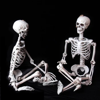 

90cm Plastic Skull Skeleton For Bar Halloween Cosplay Skeleton Children Size Halloween Decoration For Haunted House 100% Plastic