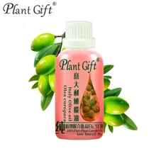 Pure растительное базовое масло эфирные масла Королевство уход за кожей оливковое масло 100 мл увлажнение и питание тонкой и гладкой против старения