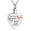 Fashion Cremation Jewelry Stainless Steel Heart Keepsake Ashes Necklace For Men Wowen or Pet Memorial Urn Pendant Necklace 4