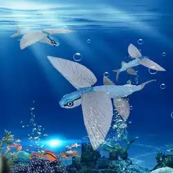 13x16x2,5 см детские игрушки имитация аквариума статический животного летучей рыбы модели морских живых модель подарок