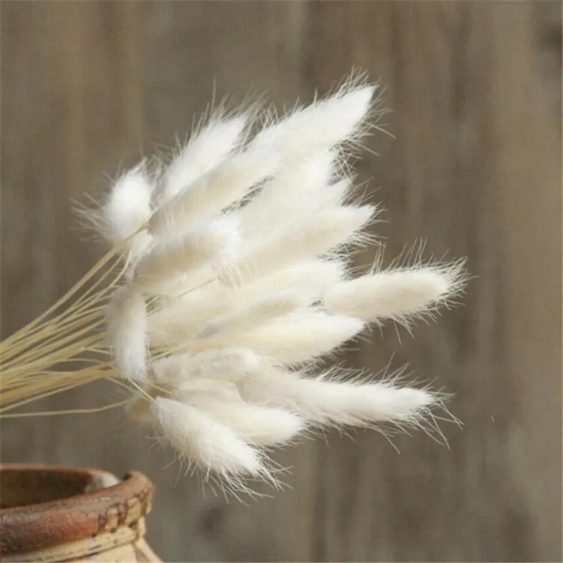 30Pcs-lot-Natural-Dried-Flowers-Colorful-Lagurus-Ovatus-Real-Flower-Bouquet-for-Home-Wedding-Decoration-Rabbit.jpg_640x640