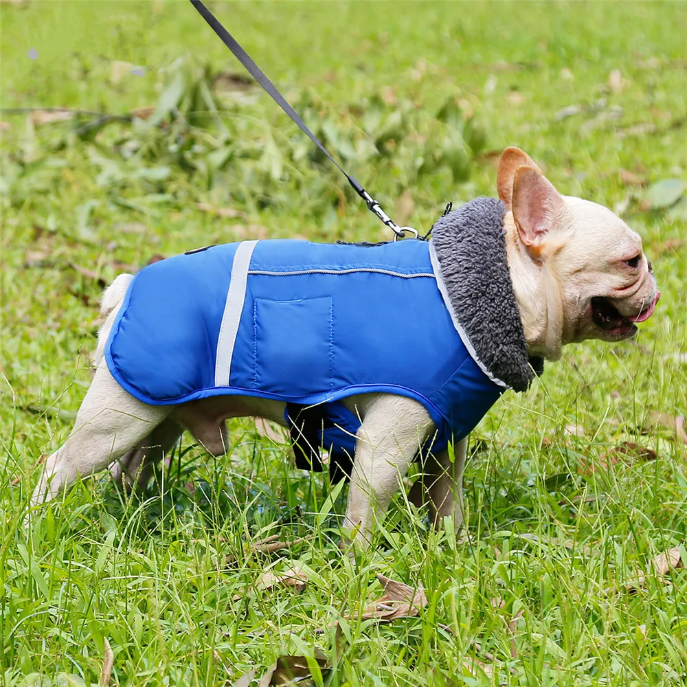 Waterproof Coats for Dog