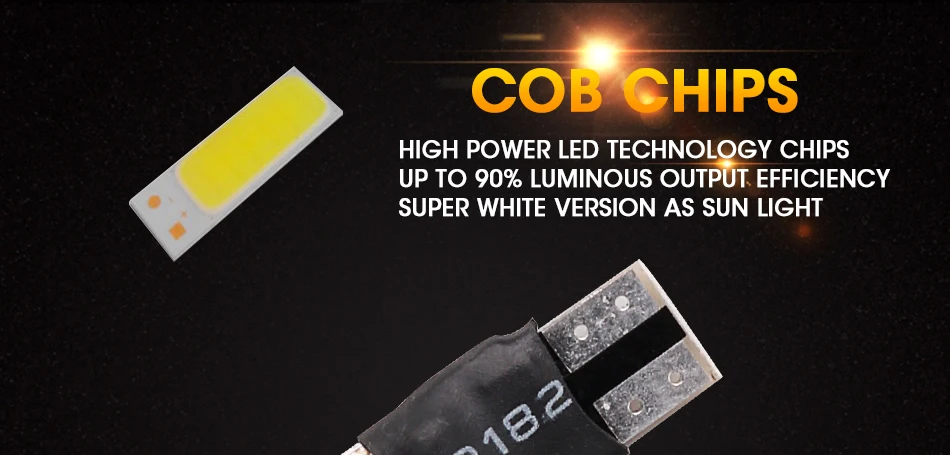 T10-COB-4_03