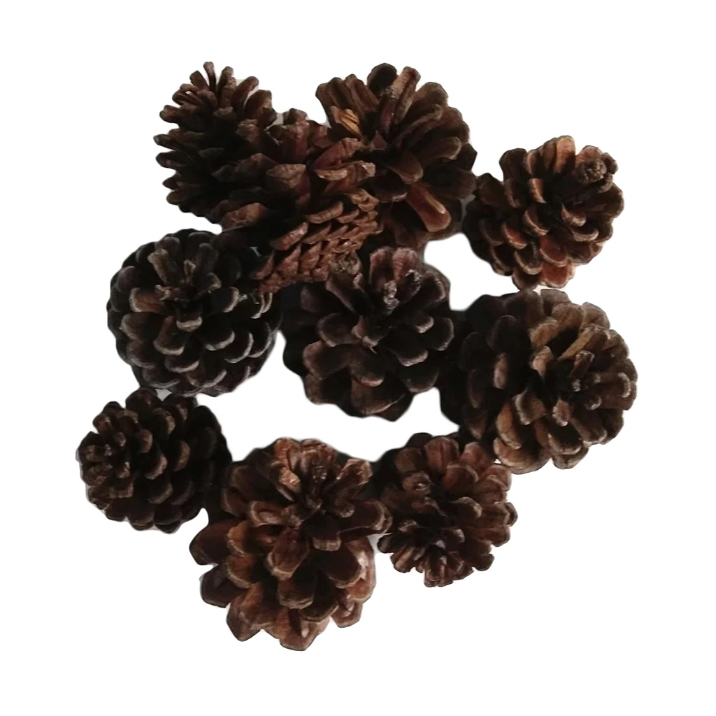 10pcs Natural Pine Cones In Bulk Dried Flowers Table Ornament for Home Christmas Decoration DIY Floral Craft Arrangement