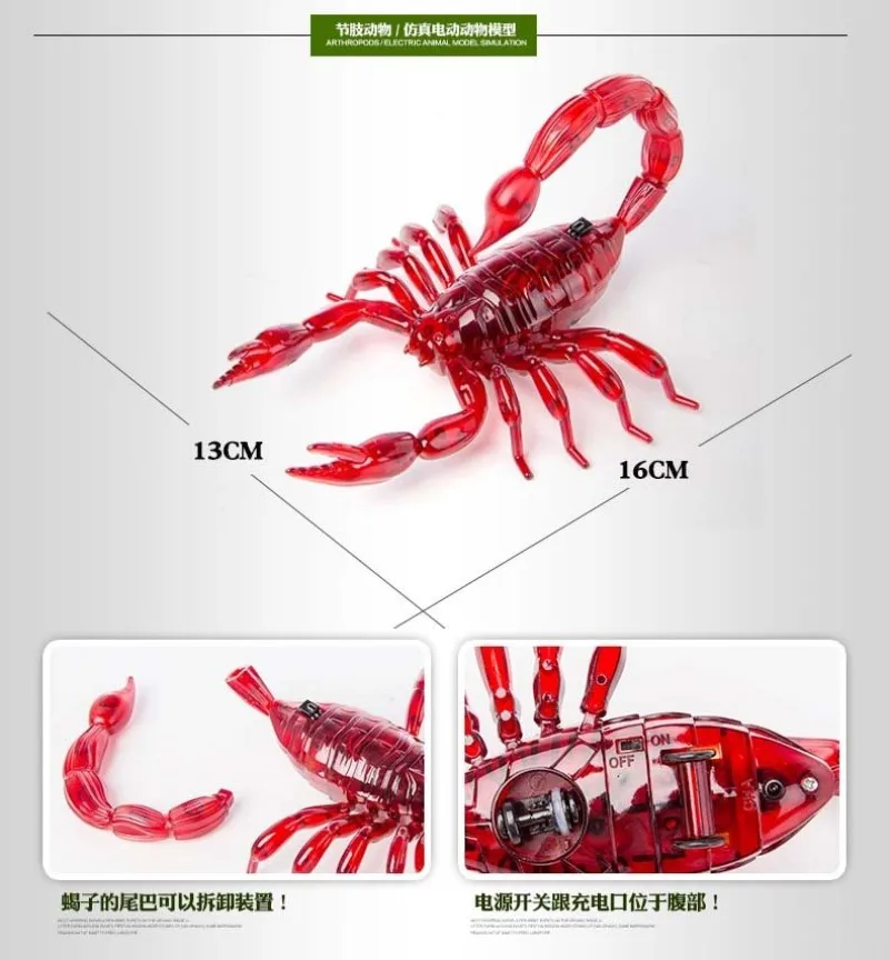 HTB1y901kdnJ8KJjSszdq6yxuFXal