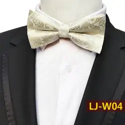 Модные Классические Пейсли для мужчин галстук мальчик модные бизнес Свадебные галстук бабочка мужской платье подарок