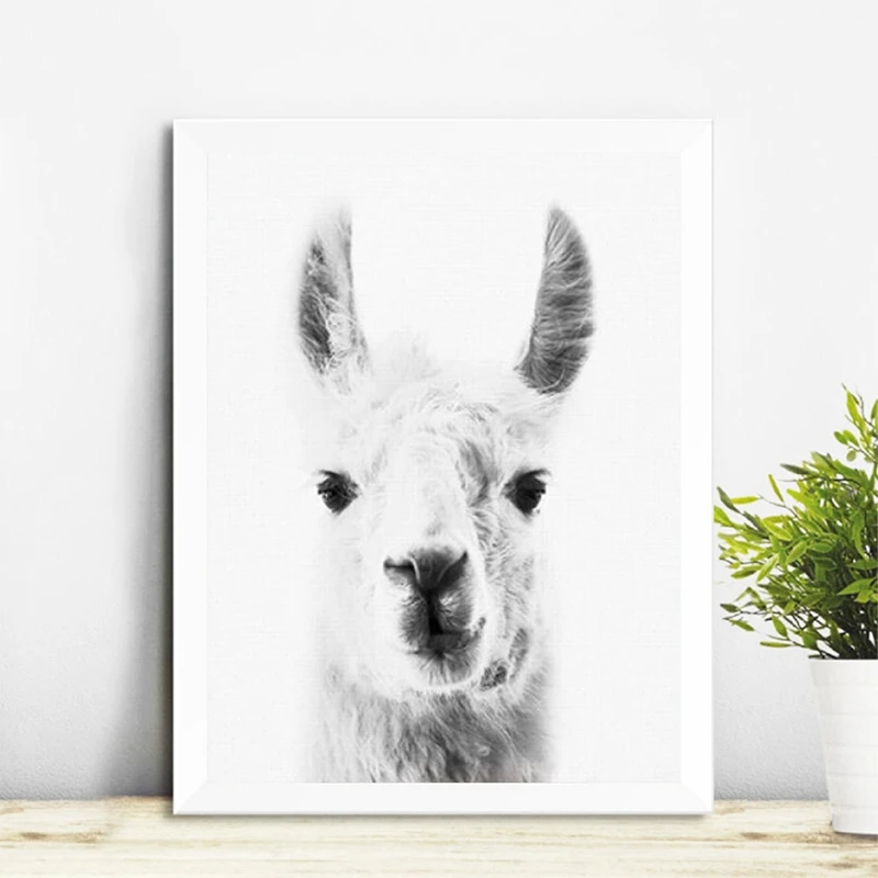 Llama Canvas Art Painting Home Decor