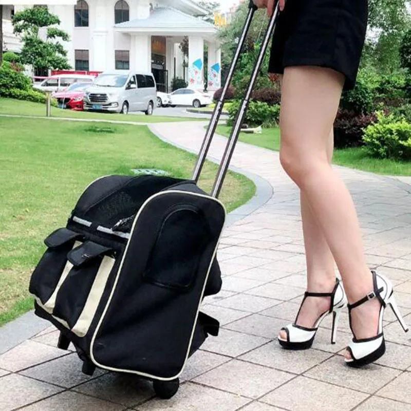 QQ20190429110157 