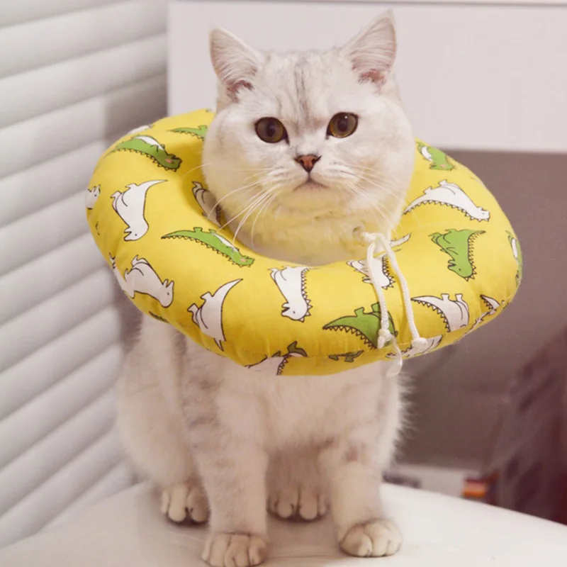 O1CN01UBjFl41u1yBOBxwkv_!!0-rate