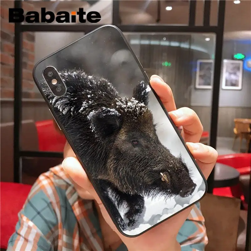 Wild Boar pig animal