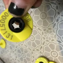 134,2 кГц ISO11784 ISO11785 RFID бирка для уха для животных Крупный рогатый скот свиньи управления 100 шт./лот