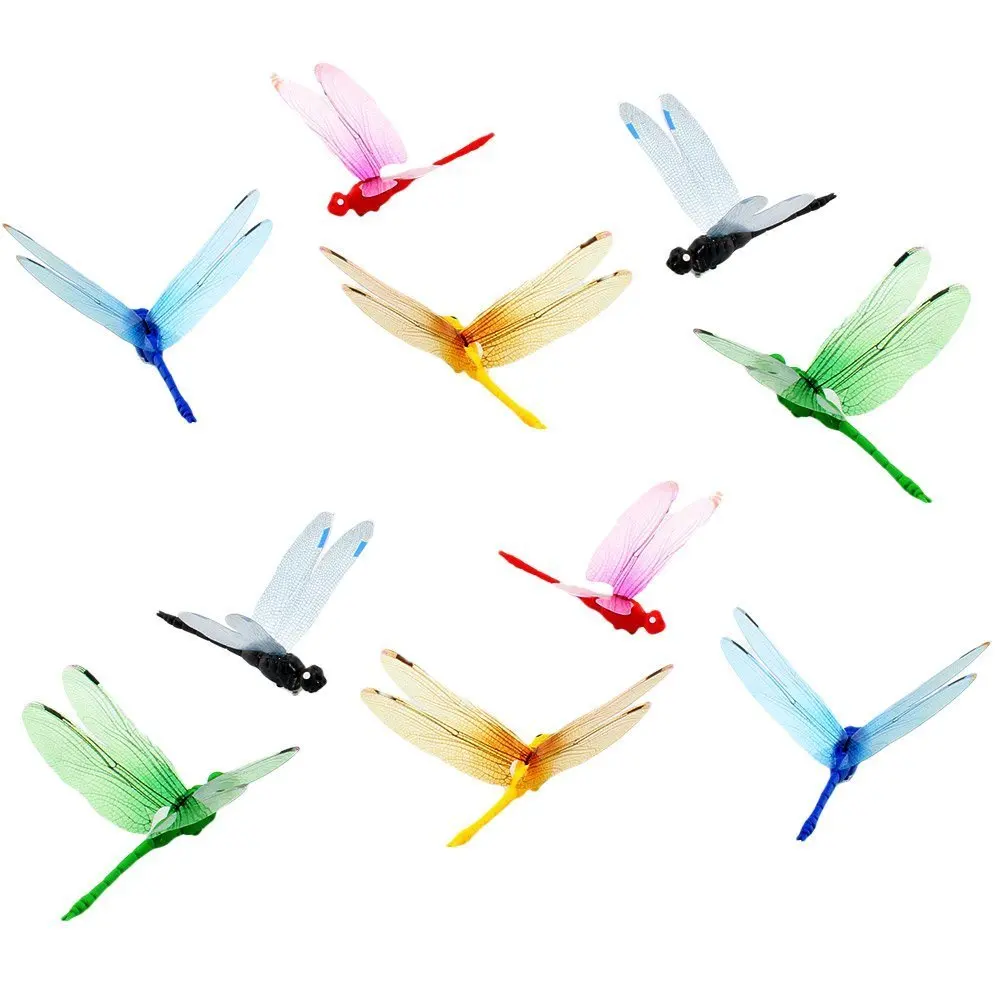 61qE5r6QnOL._SL1000_