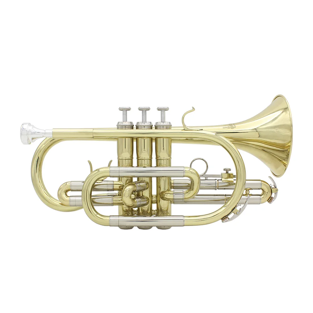 Buy ammoon Professional Bb Flat Brass