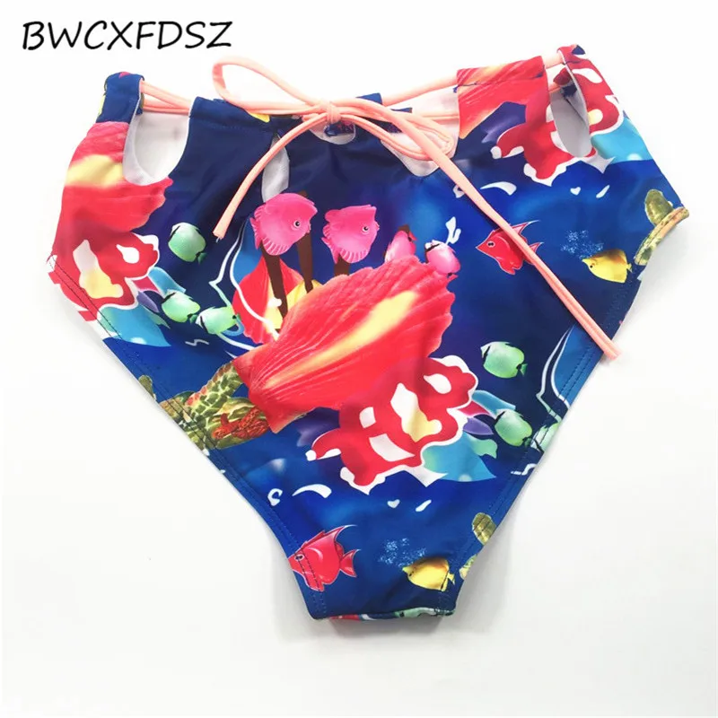 0410594D961E5B6B0952379CAE404962_