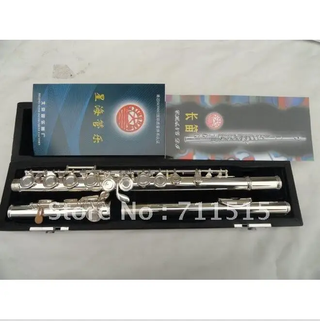

Western Concert Flute Silver Plated 16 Holes Plus E Built Split Obturator Woodwind Instrument with Mini Screwdriver Nylon Bag